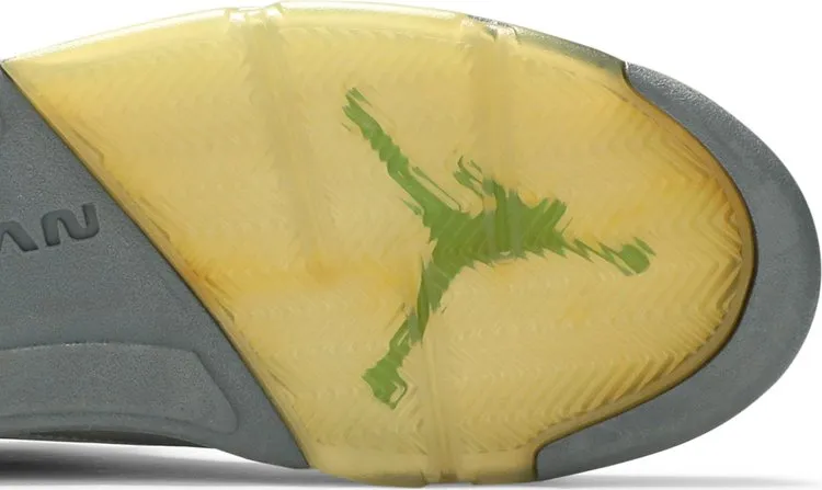 Air Jordan 5 Retro Green Bean 2006, silver