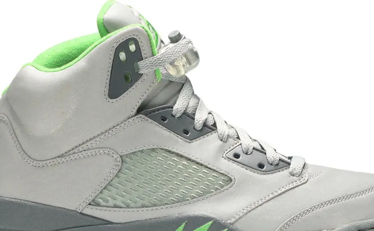 Air Jordan 5 Retro Green Bean 2006, silver